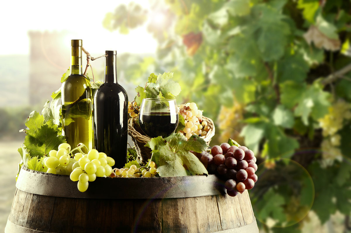 The Health Advantages of Red Wine Consumption