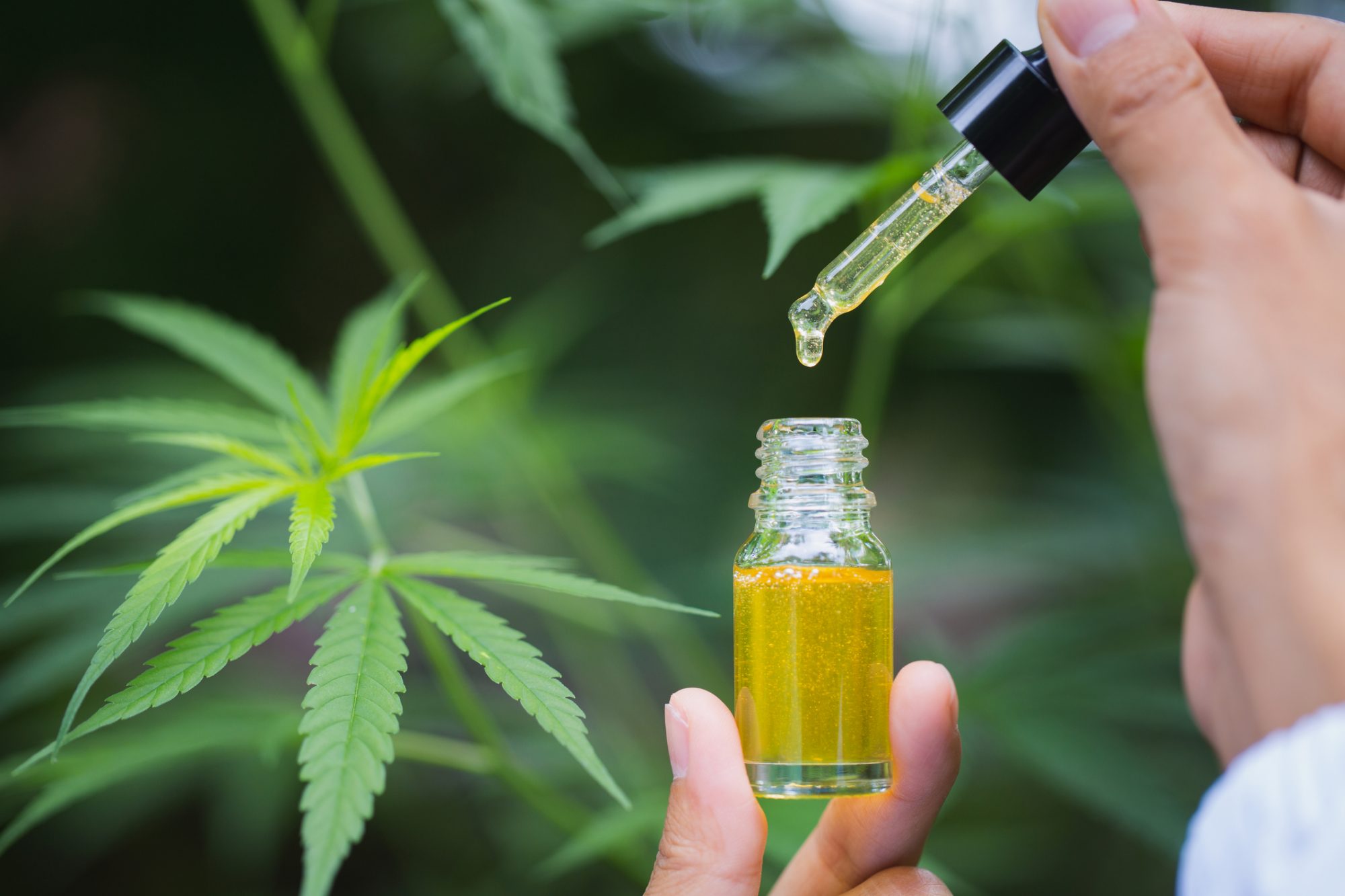 Can CBD be used to support mental health?