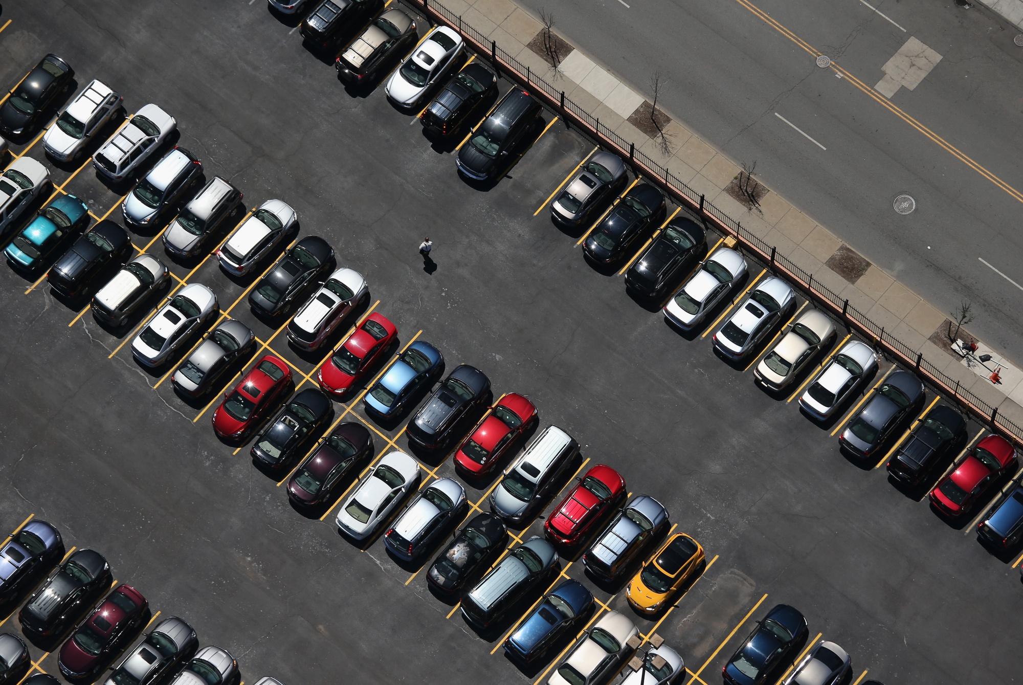 Survival Guide: Conquering Douglas Parking Nightmares